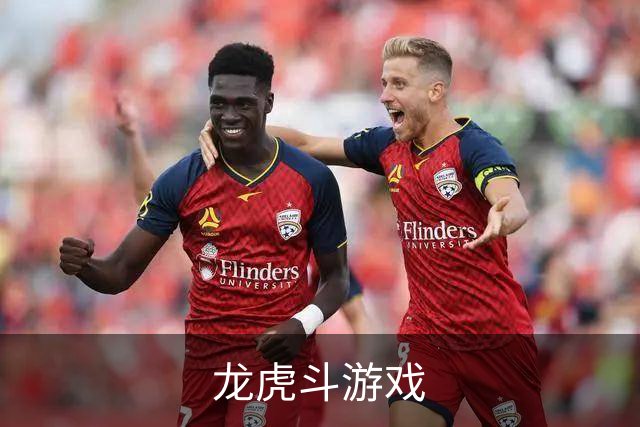 龙虎斗游戏 公司简介